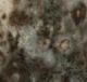 Symptoms of Toxic Mold and How to Avoid It Symptoms of Toxic Mold and How to Avoid It
