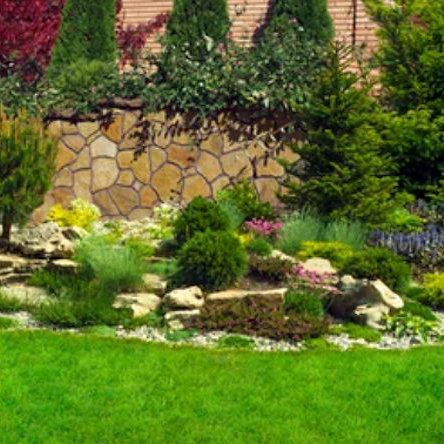 Basic Concepts: Line and Form for Landscaping Basic Concepts: Line and Form for Landscaping