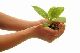 Indoor Environmental Quality (IEQ) and Health Effects of Air Pollution Indoor Environmental Quality (IEQ) and Health Effects of Air Pollution
