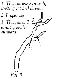 Dormant Pruning - Part 2 Dormant Pruning - Part 2