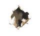 Repairing Holes Through Plaster Walls - 2 Methods Repairing Holes Through Plaster Walls - 2 Methods