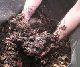 How to Compost and How it Works How to Compost and How it Works