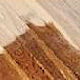 Removing Paint or Varnish on Hard Surface Floors Removing Paint or Varnish on Hard Surface Floors