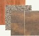 Transform Your House with New Flooring Transform Your House with New Flooring