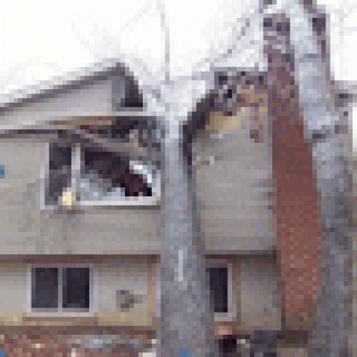 Role Played By The Disaster Cleanup Companies For Restoring Your Prope Role Played By The Disaster Cleanup Companies For Restoring Your Prope