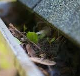 Learning Everything You Need to Know about Gutter Cleaning Learning Everything You Need to Know about Gutter Cleaning