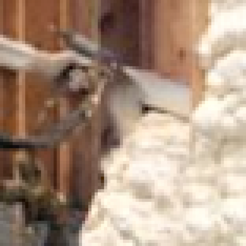 Here is Why I Choose Spray Foam Insulation for my Home Here is Why I Choose Spray Foam Insulation for my Home