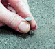Find the Right Roofers to Do the Job Find the Right Roofers to Do the Job