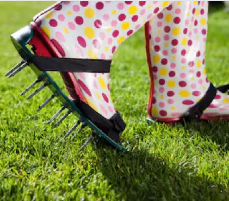 Aerating Your Lawn Aerating Your Lawn