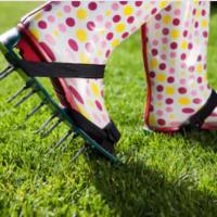 Aerating Your Lawn