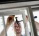 4 Things You Should Know When Installing an Under Mount Sink 4 Things You Should Know When Installing an Under Mount Sink