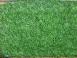 The Advantages of Artificial Grass The Advantages of Artificial Grass