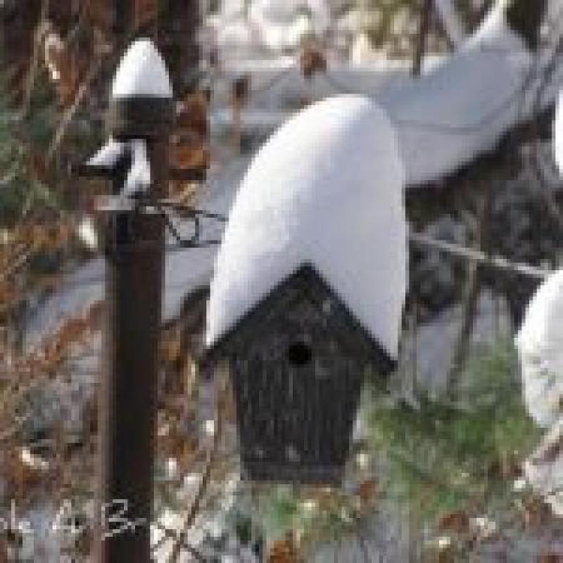 Getting Your Home Ready For the Winter Months Getting Your Home Ready For the Winter Months