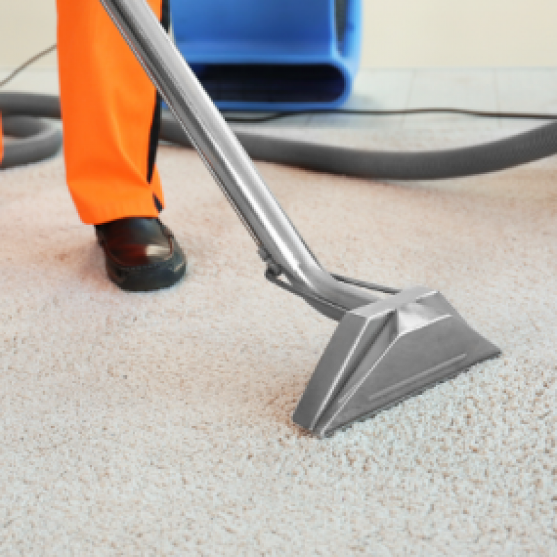 How to Extend the Life of Your Carpets How to Extend the Life of Your Carpets