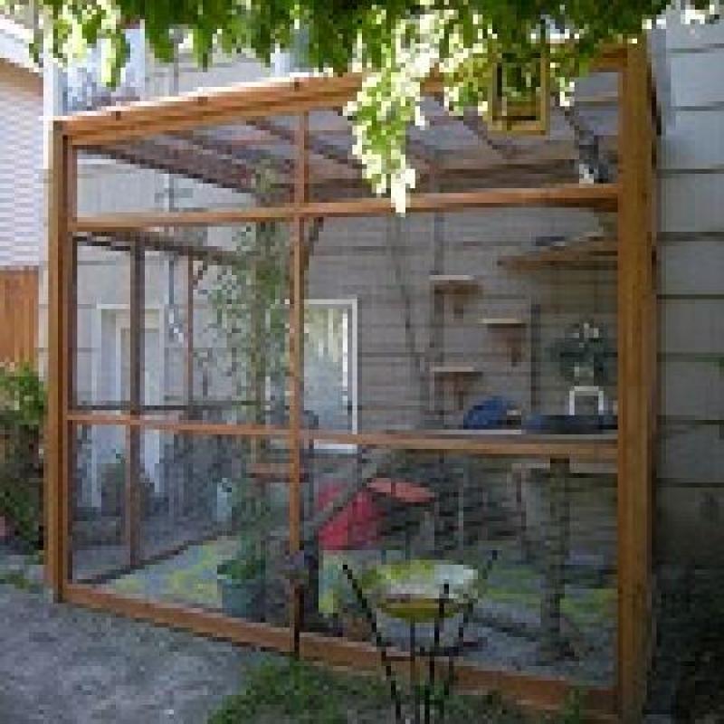 Home Improvement Ideas: Catering For Your Cat Home Improvement Ideas: Catering For Your Cat