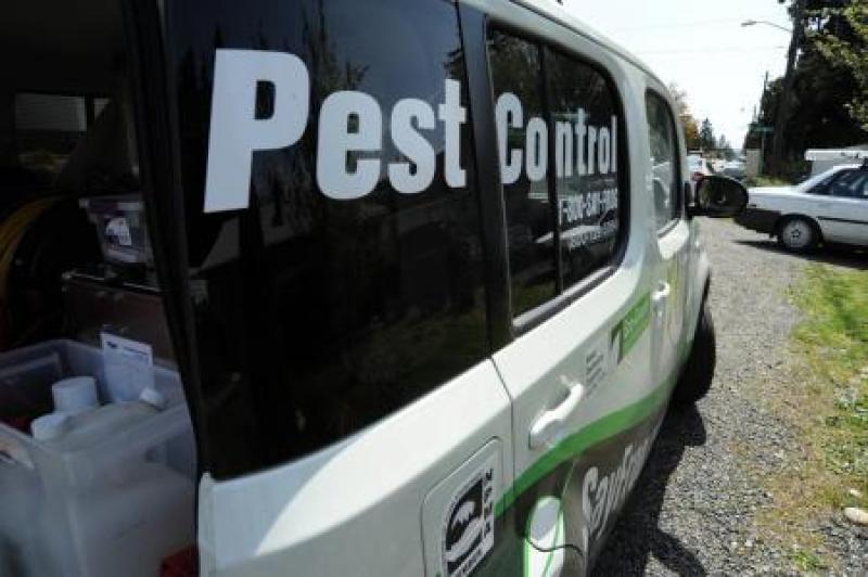 Repairs, Cleaning and Pest Control for a Better Life Repairs, Cleaning and Pest Control for a Better Life