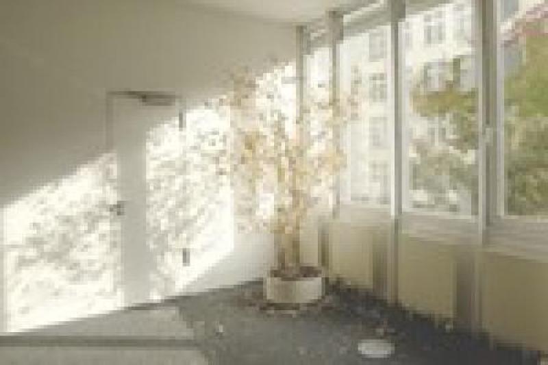 Double Glazed Windows Cost | Is It Worth It? Double Glazed Windows Cost | Is It Worth It?