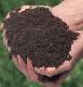 Down and Dirty - Understanding Your Soil Down and Dirty - Understanding Your Soil