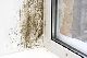 Why do I have Moisture on my Windows? Why do I have Moisture on my Windows?