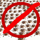 Pests and Your Household Pests and Your Household