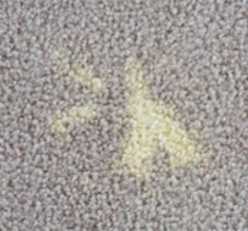 Fixing Carpet Bleach and Chemical Stains Fixing Carpet Bleach and Chemical Stains