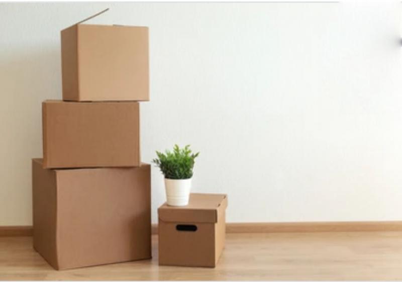 3 Reasons You Should Always Hire a Mover