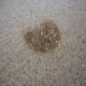 Carpet Care: How to Repair Burn Marks Carpet Care: How to Repair Burn Marks