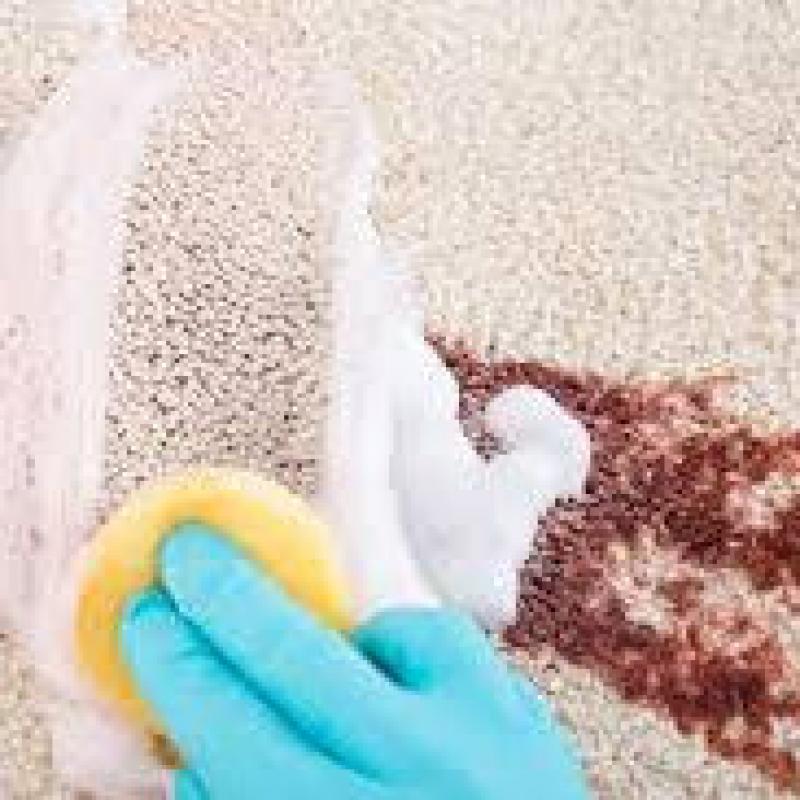 Getting Rid of Carpet Stains Getting Rid of Carpet Stains