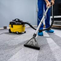 The Carpet Cleaning Guide to Dry Wet Carpets