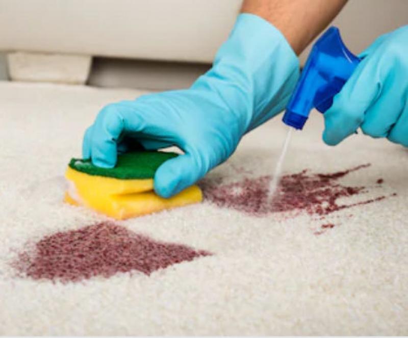 Rug Stain Removal Rug Stain Removal