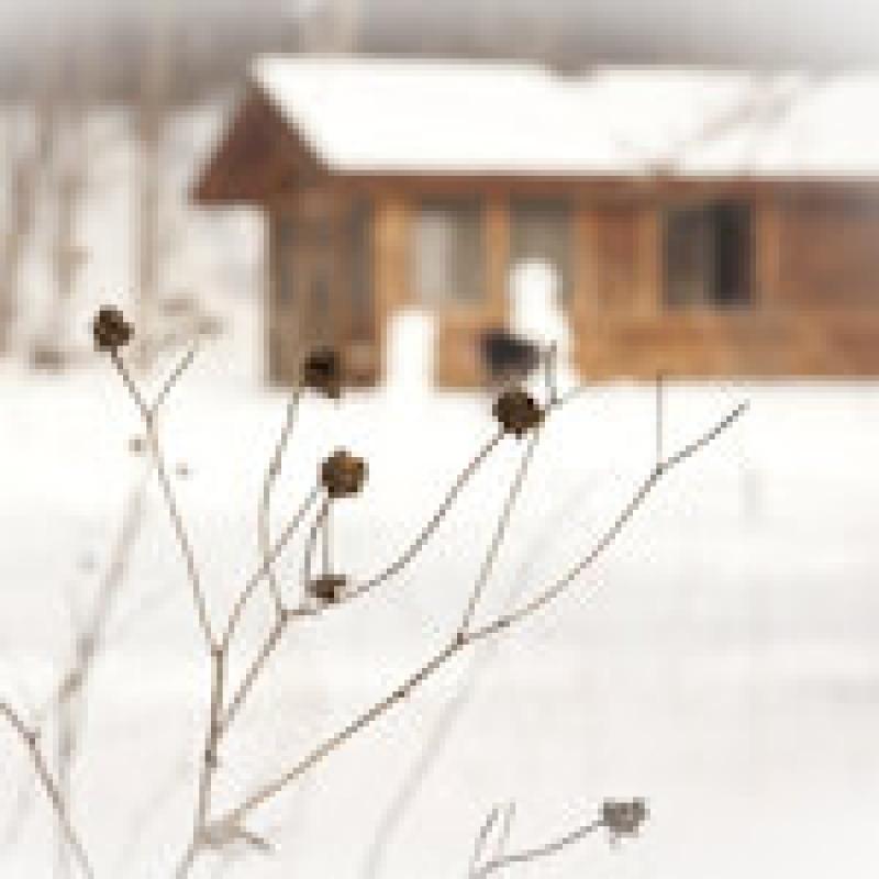 How to Prepare Your House for Winter How to Prepare Your House for Winter