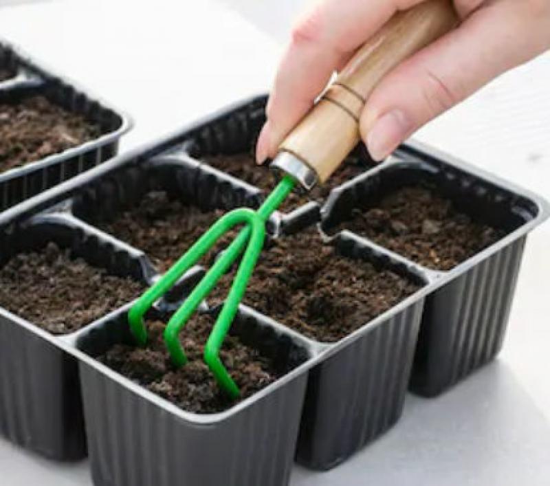 Creating Your Planting Areas Creating Your Planting Areas