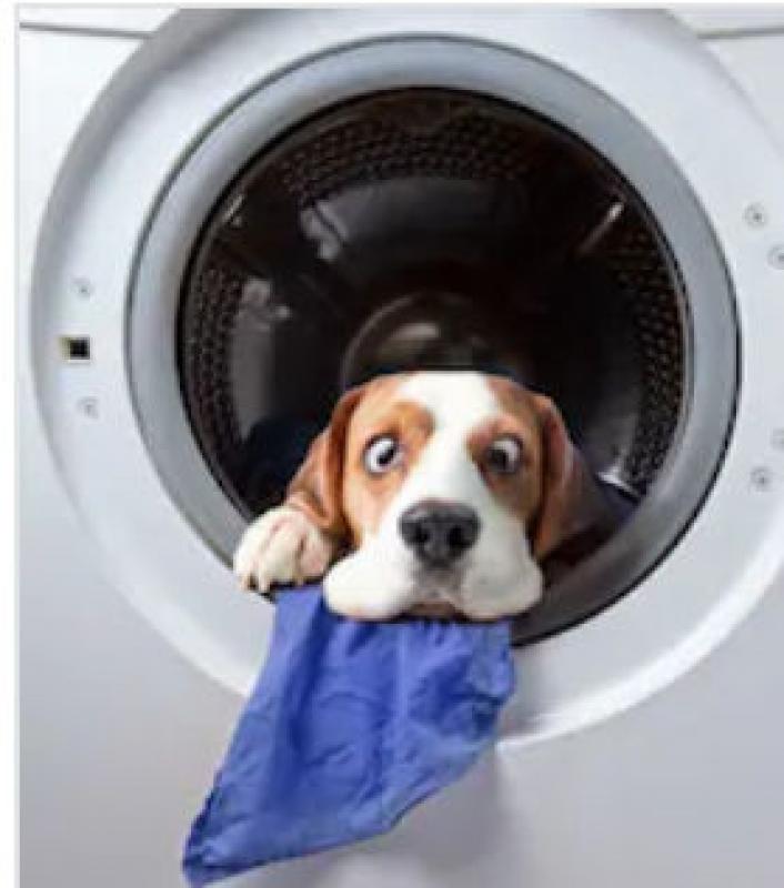 Things to Consider When Buying a Washing Machine Things to Consider When Buying a Washing Machine