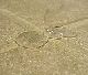 Sealer Treatment for Brick and Tile Floors Sealer Treatment for Brick and Tile Floors