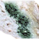 Mold in the Home: Identification and Removal Mold in the Home: Identification and Removal