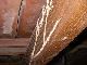 Better to Prepare for Pest than to Repair Better to Prepare for Pest than to Repair
