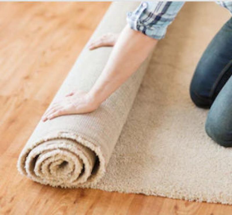Carpet or Wood Flooring - the Pros and Cons Carpet or Wood Flooring - the Pros and Cons
