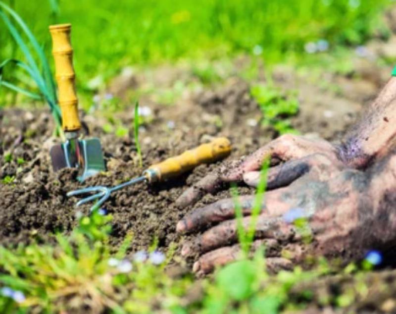 How to Prepare Your Garden for Spring How to Prepare Your Garden for Spring