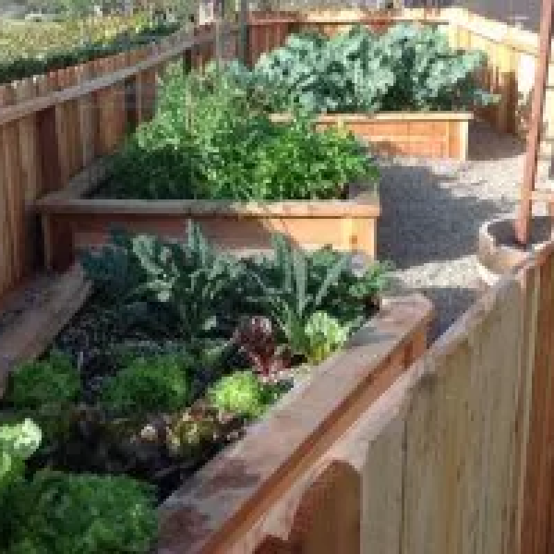 5 Tips on Growing an Organic Garden 5 Tips on Growing an Organic Garden