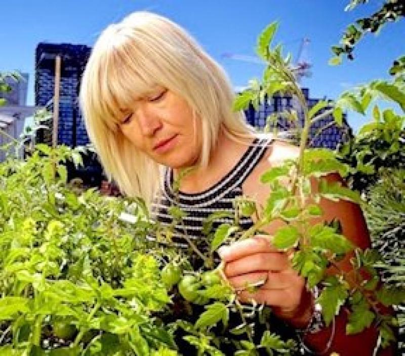 Garden Plans Advise for the Busy Garden Planning Garden Plans Advise for the Busy Garden Planning