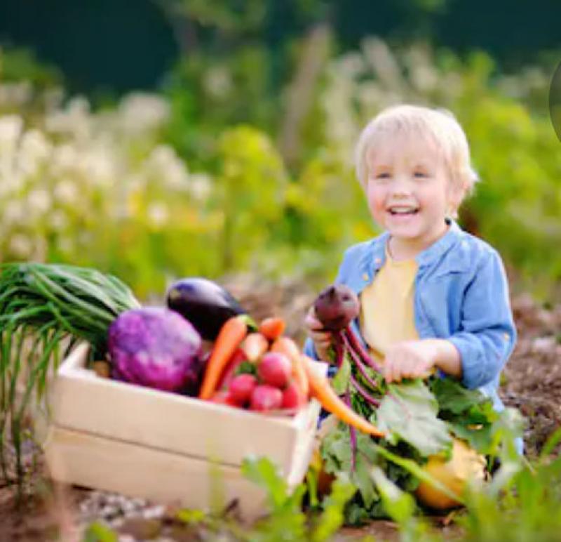 5 Tips on Growing an Organic Garden