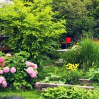 Landscape Designer vs a Landscape Contractor - Part 2