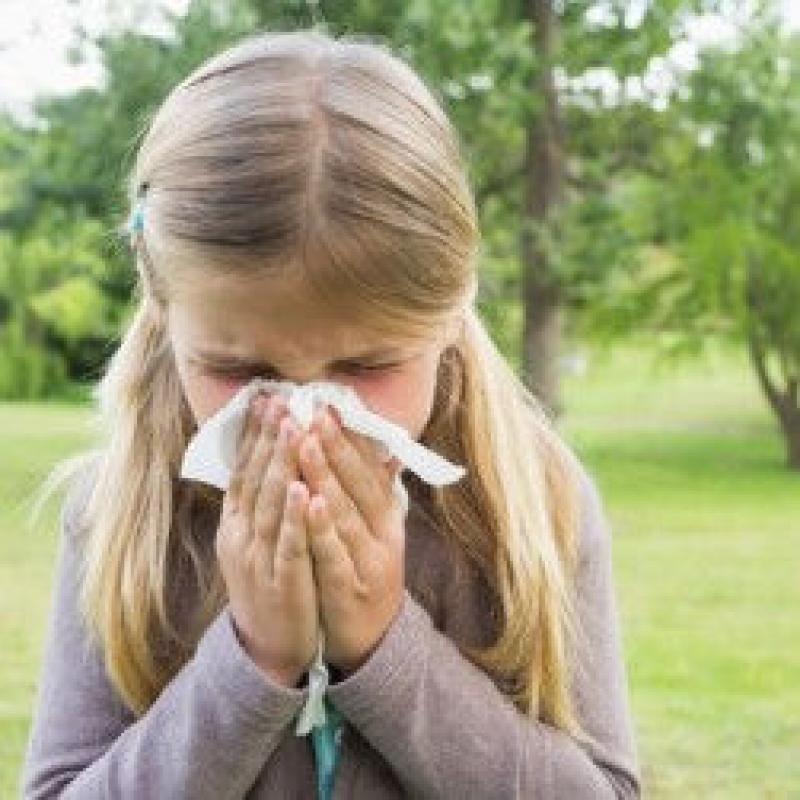 Cancel Allergy Season with These Common Sense Landscaping Tips Cancel Allergy Season with These Common Sense Landscaping Tips