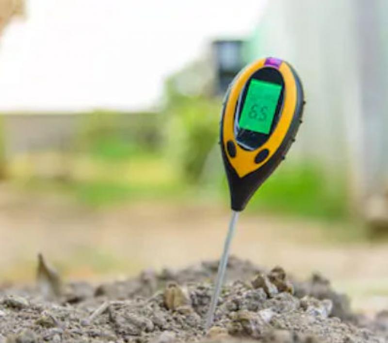 Down and Dirty - Understanding Your Soil Down and Dirty - Understanding Your Soil