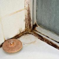 Remove Mold from Your Shower - Chemical Free!