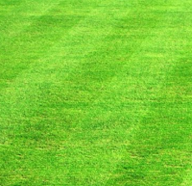 How to Maintain Your Lawn How to Maintain Your Lawn