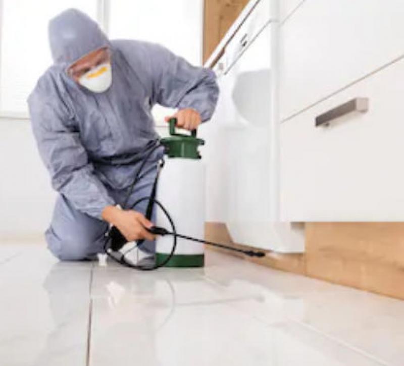 Pests and Your Household Pests and Your Household