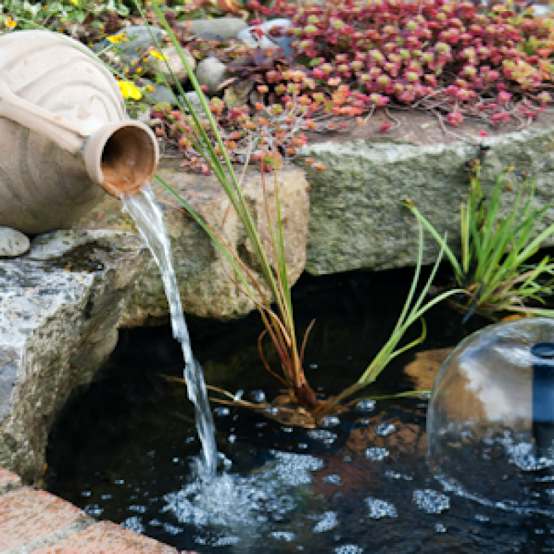 Garden Water Features and Fish – Basic Tips You Should Know About Garden Water Features and Fish – Basic Tips You Should Know About