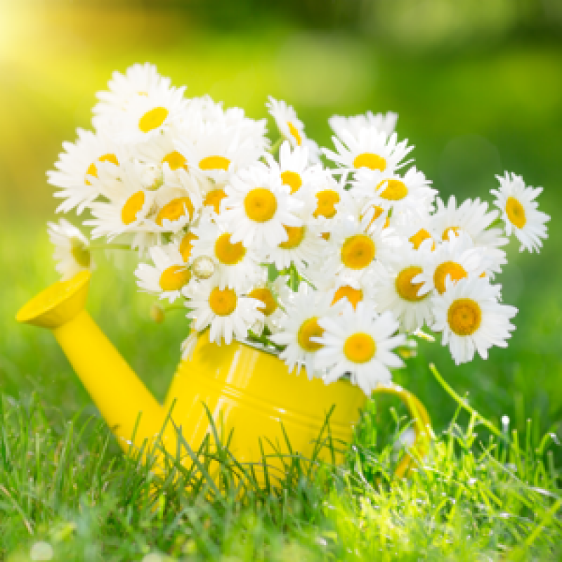 Start Getting Your Home Ready for Spring with These Four Tips Start Getting Your Home Ready for Spring with These Four Tips