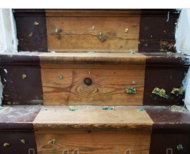 What to Consider Before Removing Stairway Carpeting What to Consider Before Removing Stairway Carpeting